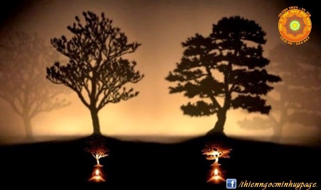 Nguyên nhân thất bại của rất nhiều người Hai cái cây bạn sẽ chặt cây nào